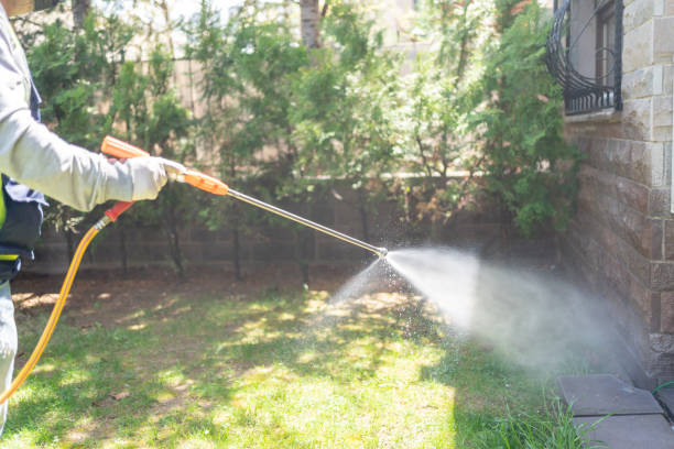 Best Fumigation Services  in Tanglewilde, WA